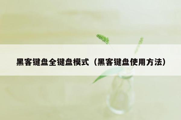 黑客键盘全键盘模式（黑客键盘使用方法）