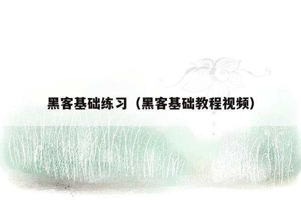 黑客基础练习（黑客基础教程视频）