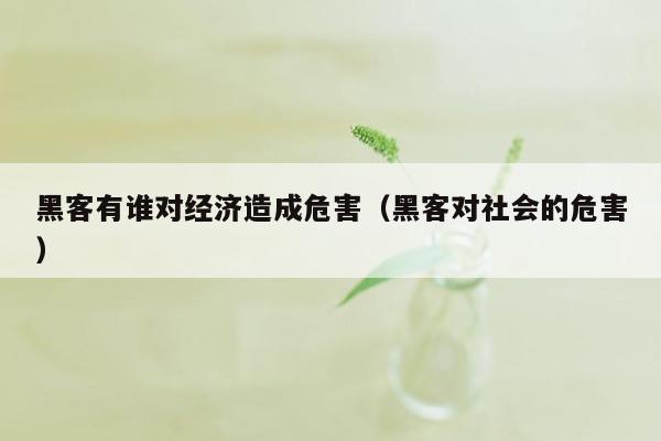 黑客有谁对经济造成危害（黑客对社会的危害）