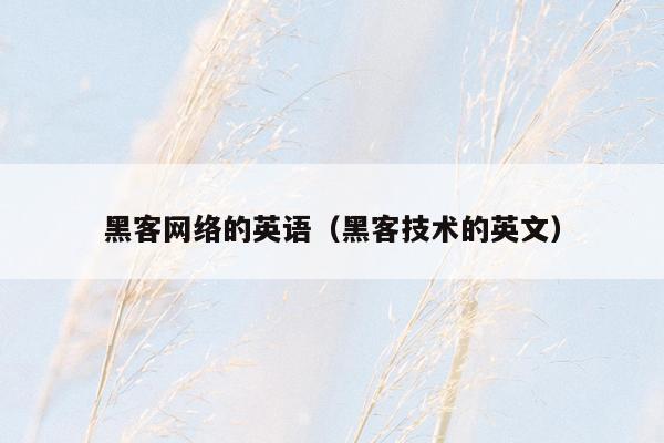 黑客网络的英语（黑客技术的英文）