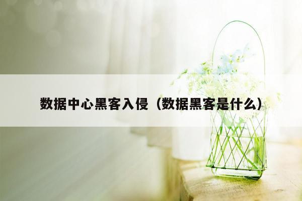 数据中心黑客入侵（数据黑客是什么）