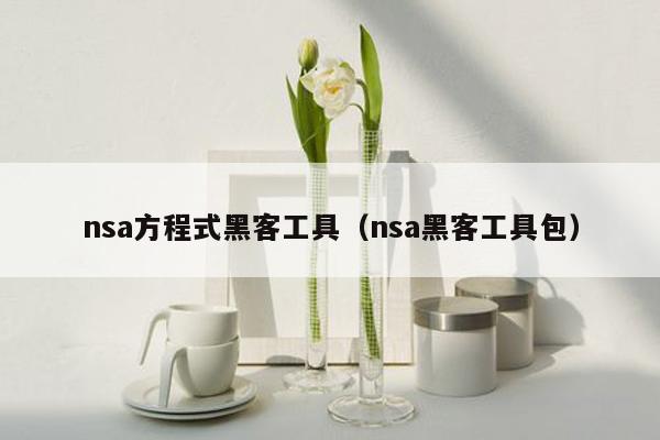 nsa方程式黑客工具（nsa黑客工具包）