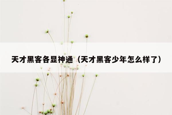 天才黑客各显神通（天才黑客少年怎么样了）