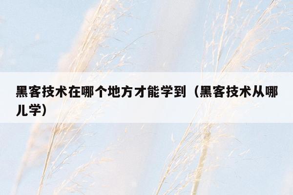 黑客技术在哪个地方才能学到（黑客技术从哪儿学）