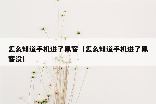 怎么知道手机进了黑客（怎么知道手机进了黑客没）