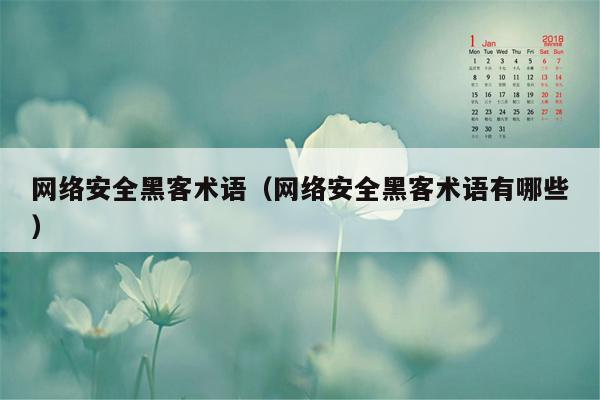 网络安全黑客术语（网络安全黑客术语有哪些）
