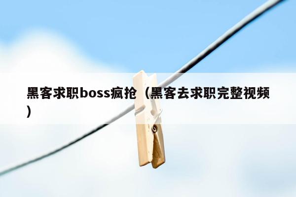 黑客求职boss疯抢（黑客去求职完整视频）