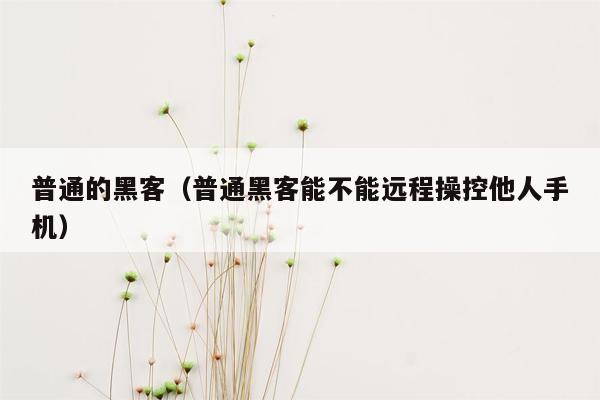 普通的黑客（普通黑客能不能远程操控他人手机）