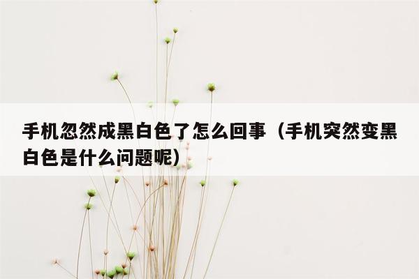 手机忽然成黑白色了怎么回事（手机突然变黑白色是什么问题呢）