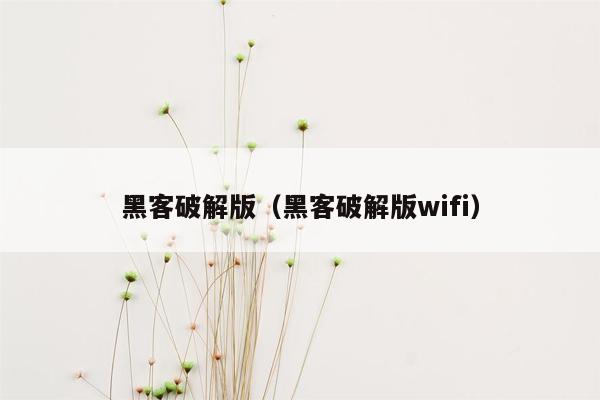 黑客破解版（黑客破解版wifi）