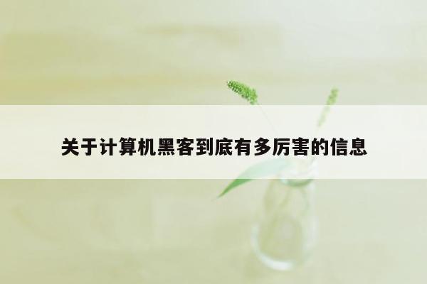 关于计算机黑客到底有多厉害的信息