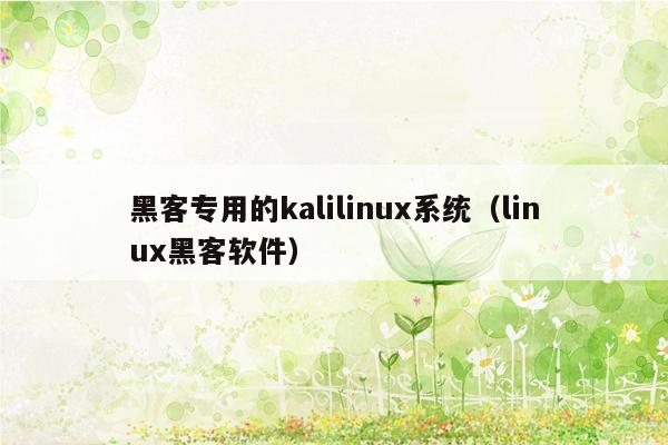 黑客专用的kalilinux系统（linux黑客软件）