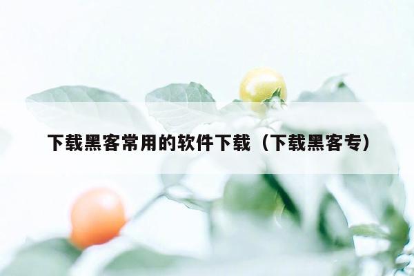 下载黑客常用的软件下载（下载黑客专）