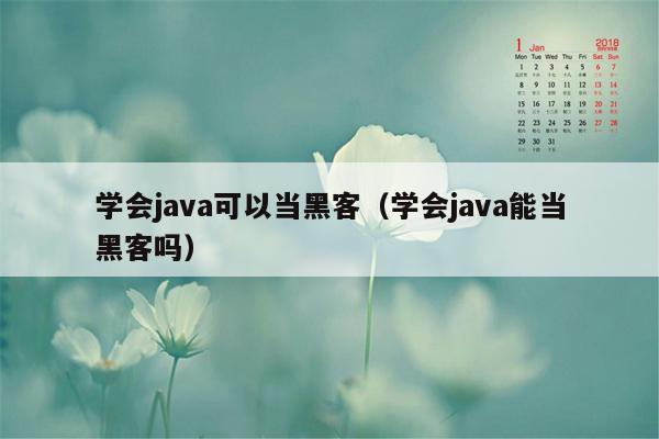 学会java可以当黑客（学会java能当黑客吗）