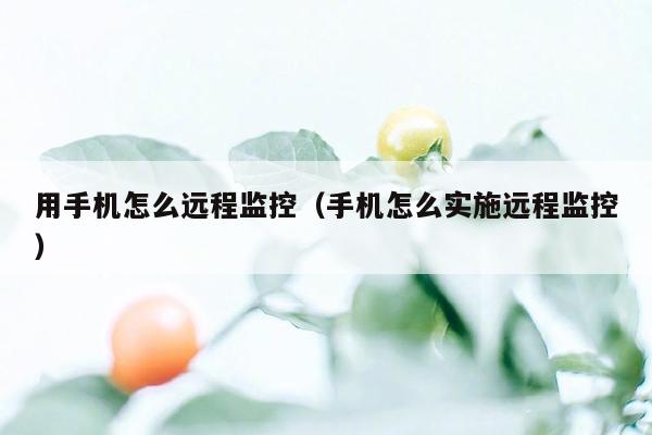 用手机怎么远程监控（手机怎么实施远程监控）