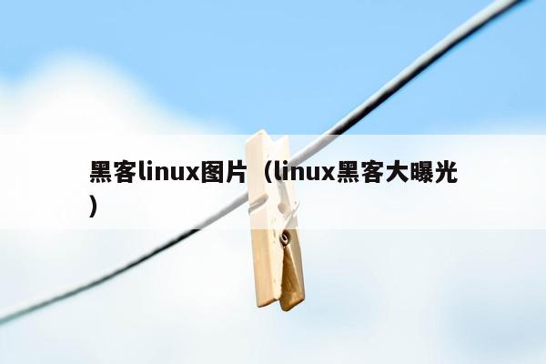 黑客linux图片（linux黑客大曝光）