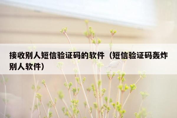 接收别人短信验证码的软件（短信验证码轰炸别人软件）