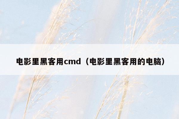 电影里黑客用cmd（电影里黑客用的电脑）