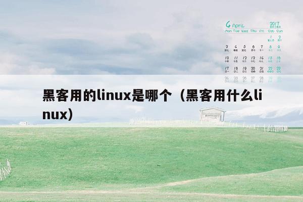 黑客用的linux是哪个（黑客用什么linux）