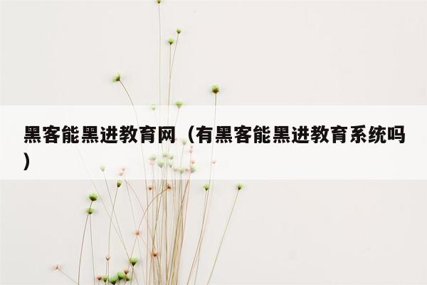 黑客能黑进教育网（有黑客能黑进教育系统吗）