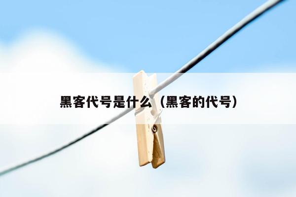 黑客代号是什么（黑客的代号）