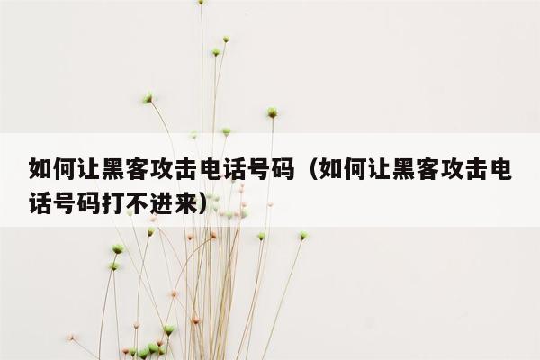 如何让黑客攻击电话号码（如何让黑客攻击电话号码打不进来）