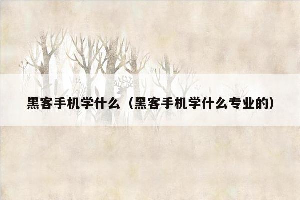 黑客手机学什么（黑客手机学什么专业的）