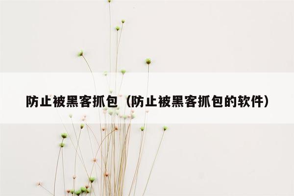 防止被黑客抓包（防止被黑客抓包的软件）