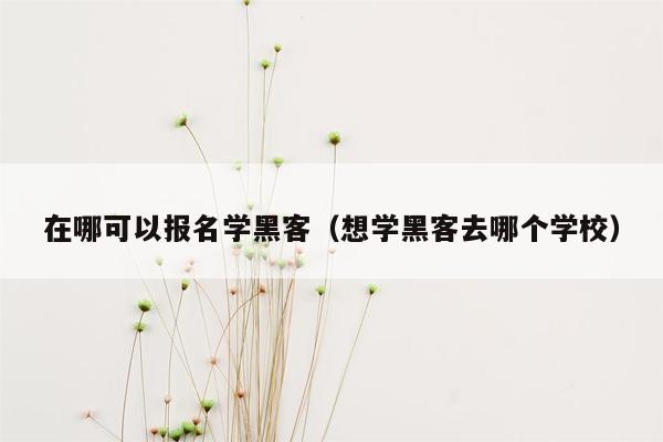 在哪可以报名学黑客（想学黑客去哪个学校）