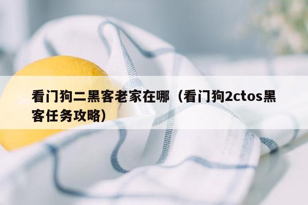 看门狗二黑客老家在哪（看门狗2ctos黑客任务攻略）