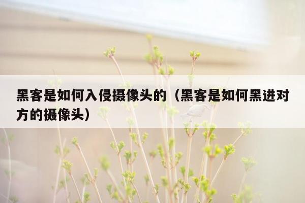 黑客是如何入侵摄像头的（黑客是如何黑进对方的摄像头）