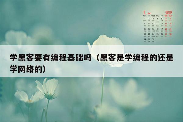 学黑客要有编程基础吗（黑客是学编程的还是学网络的）