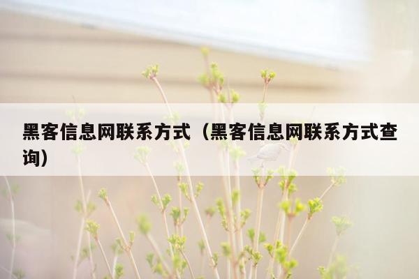 黑客信息网联系方式（黑客信息网联系方式查询）