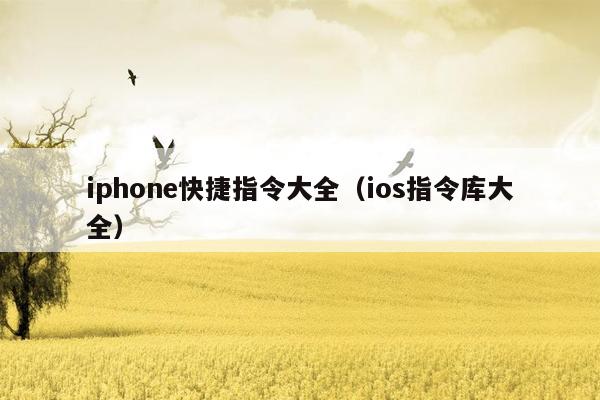 iphone快捷指令大全（ios指令库大全）