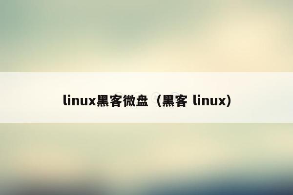 linux黑客微盘（黑客 linux）