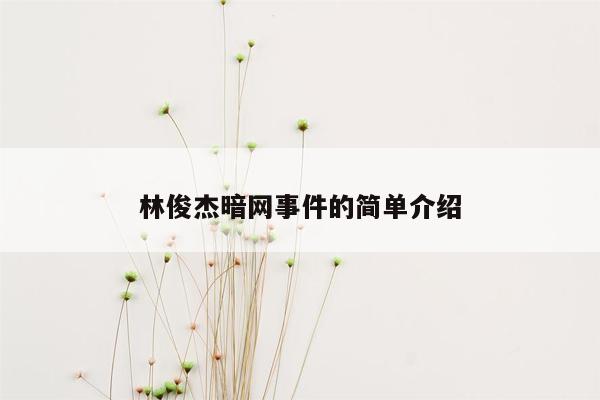 林俊杰暗网事件的简单介绍