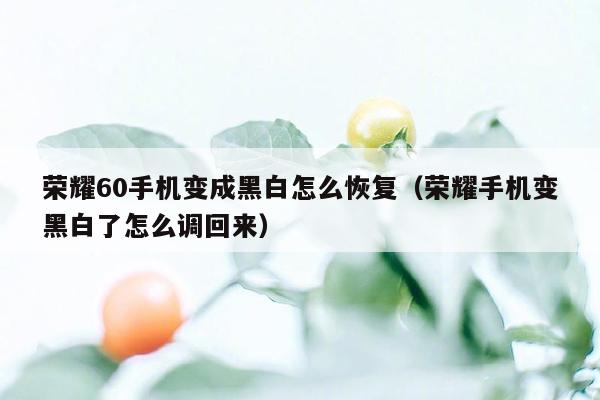 荣耀60手机变成黑白怎么恢复（荣耀手机变黑白了怎么调回来）