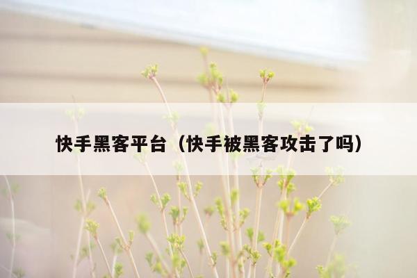 快手黑客平台（快手被黑客攻击了吗）