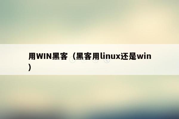 用WIN黑客（黑客用linux还是win）