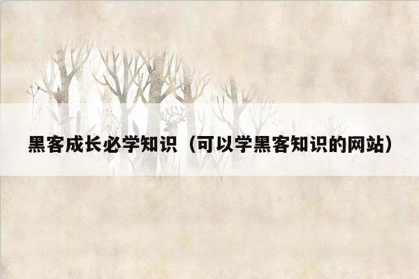 黑客成长必学知识（可以学黑客知识的网站）