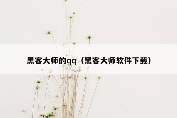 黑客大师的qq（黑客大师软件下载）