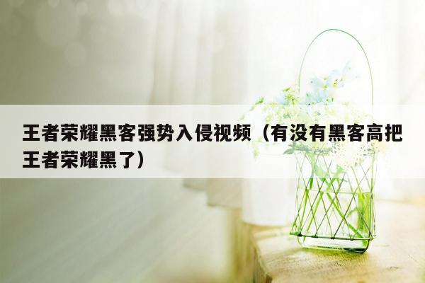 王者荣耀黑客强势入侵视频（有没有黑客高把王者荣耀黑了）