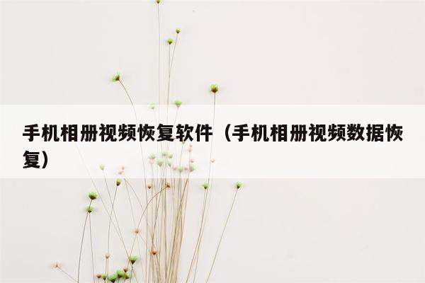 手机相册视频恢复软件（手机相册视频数据恢复）