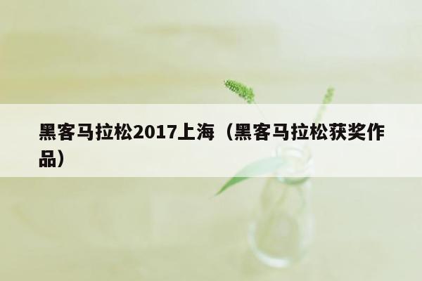 黑客马拉松2017上海（黑客马拉松获奖作品）