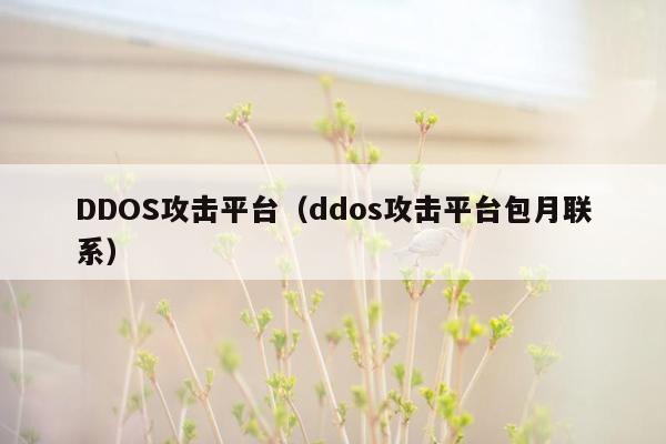 DDOS攻击平台（ddos攻击平台包月联系）