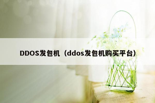 DDOS发包机（ddos发包机购买平台）
