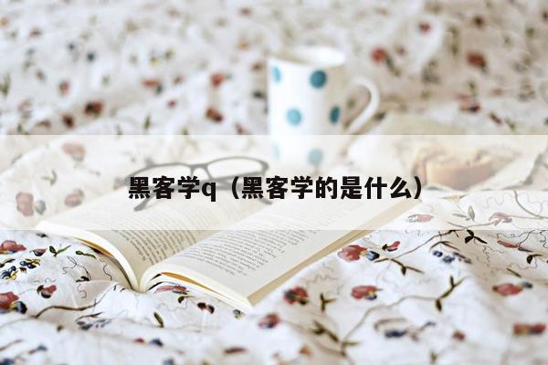 黑客学q（黑客学的是什么）