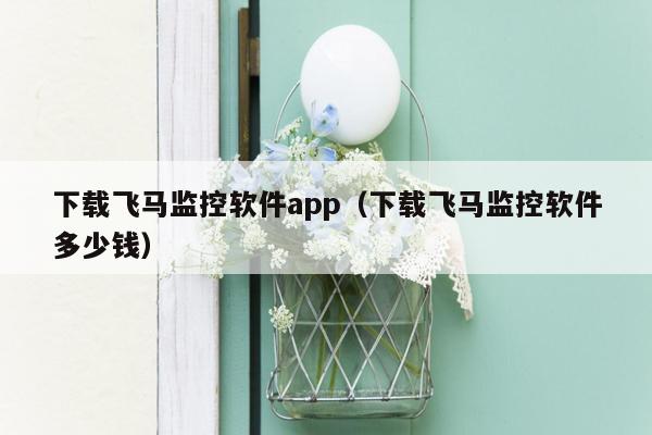 下载飞马监控软件app（下载飞马监控软件多少钱）