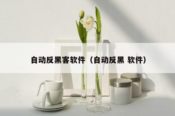 自动反黑客软件（自动反黑 软件）