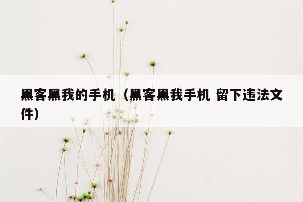 黑客黑我的手机（黑客黑我手机 留下违法文件）